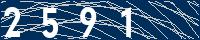 Your Captcha Code is: Two, Five, Nine, One.